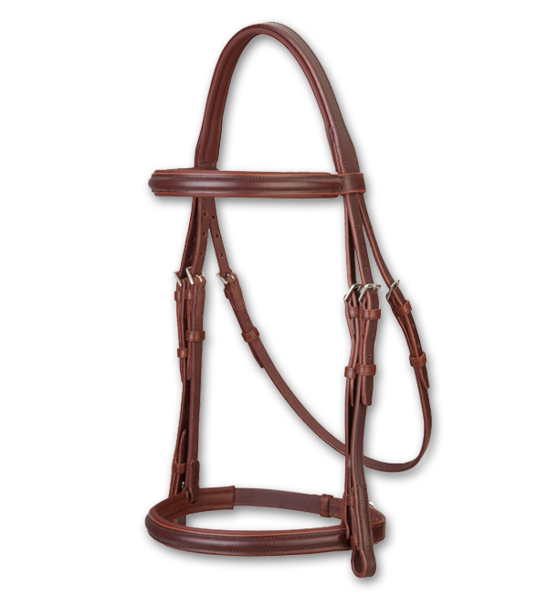 Raised Padded Bridle