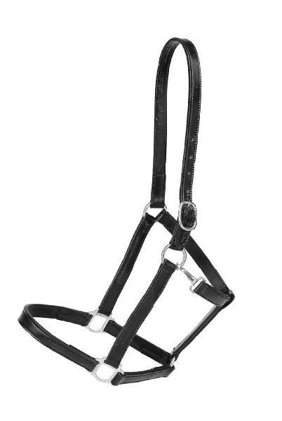 3/4" Halter