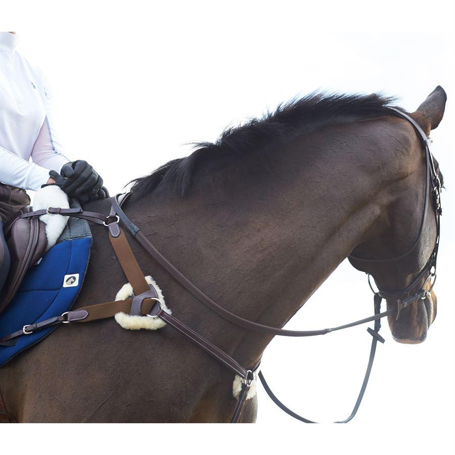 5 Way Breastplate