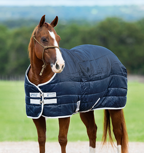 Amigo Insulator (200g Medium)