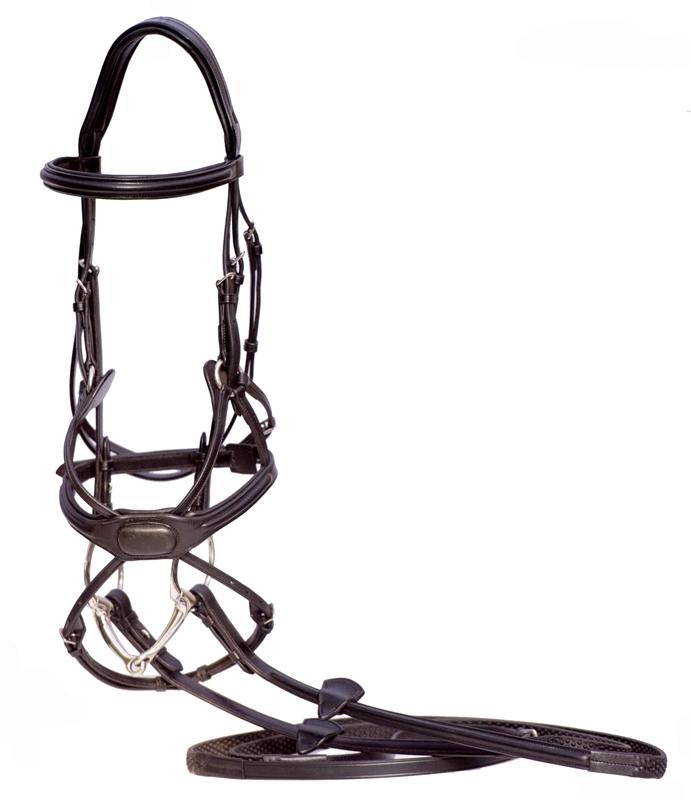 Arianna Figure 8 Bridle