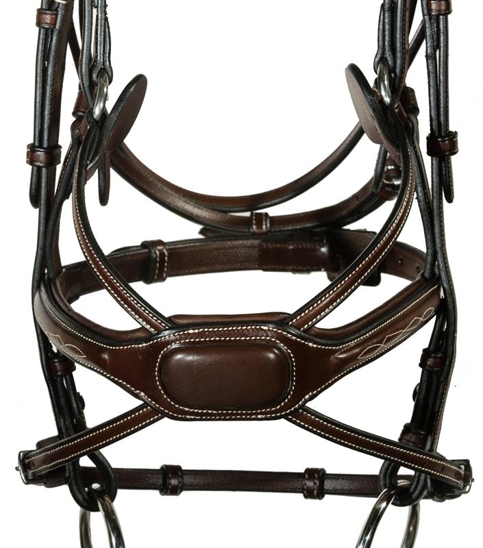 Arianna Figure 8 Bridle