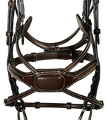 Arianna Figure 8 Bridle