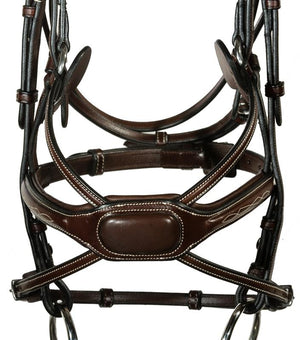 Arianna Figure 8 Bridle