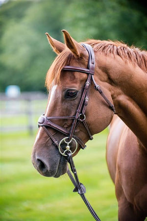 Arianna Figure 8 Bridle