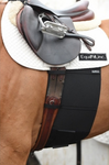BellyBand