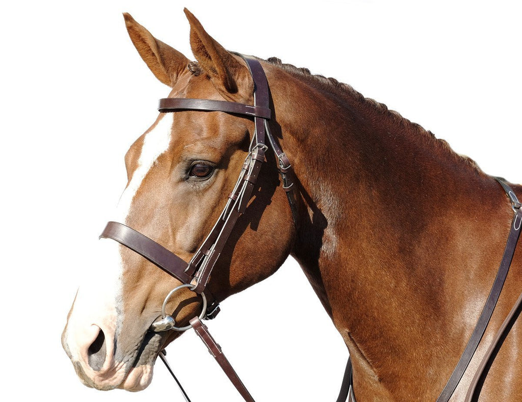 Hunt Bridle