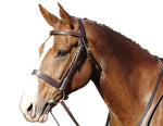 Hunt Bridle