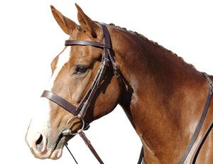 Hunt Bridle