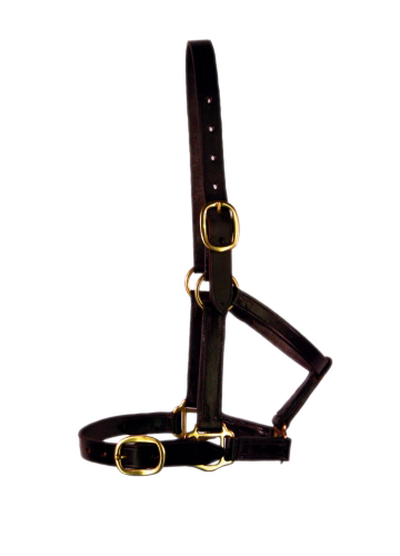 Leather Halter