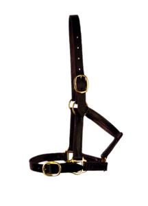 Leather Halter