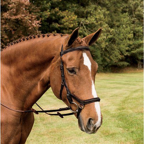 Micklem Deluxe Competition Bridle