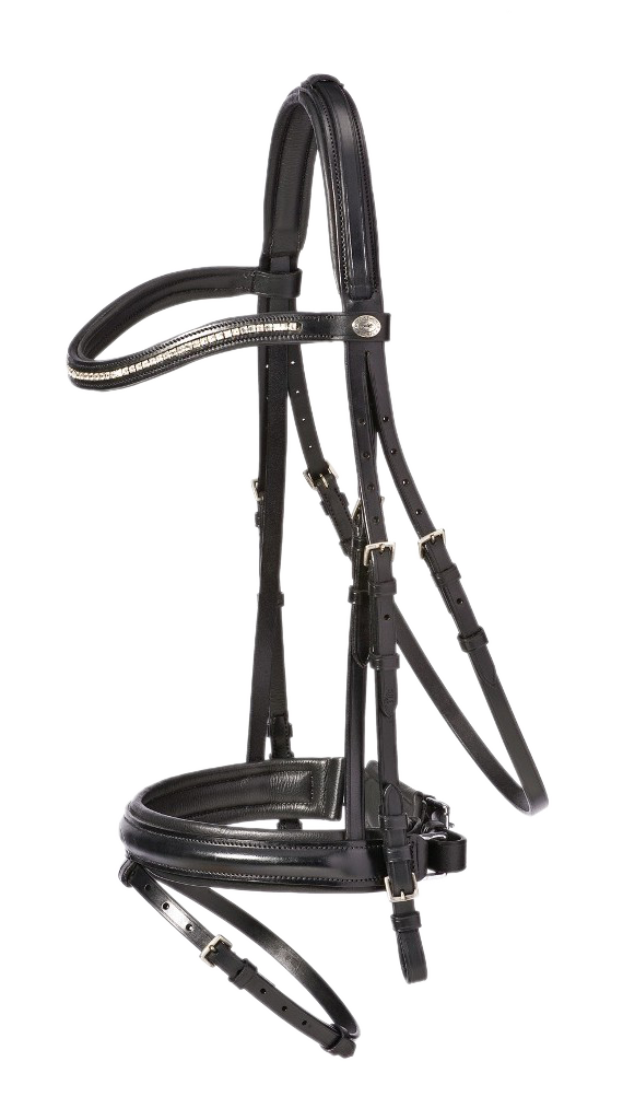 Paris Bridle