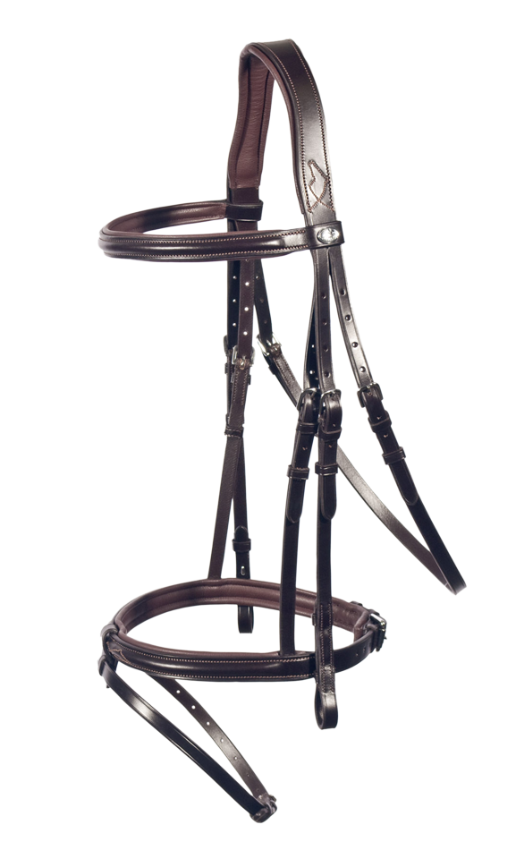 Philadelphia Bridle
