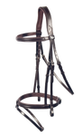 Philadelphia Bridle