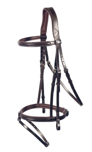 Philadelphia Bridle
