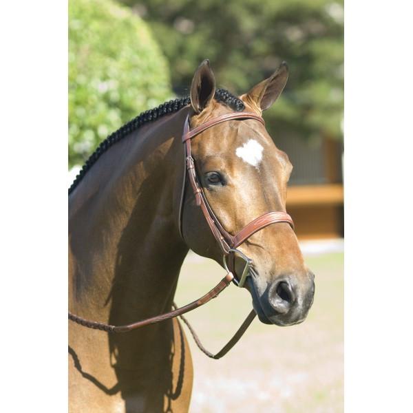 Rodrigo Pessoa® Fancy Wide Show Bridle