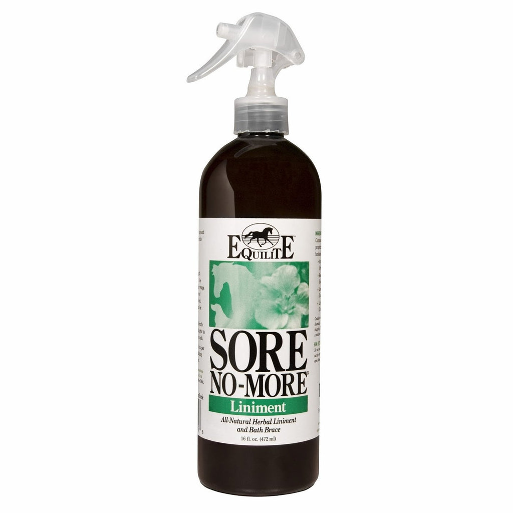 Sore No More Liniment Spray