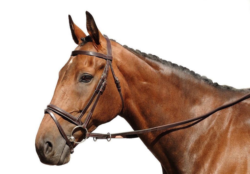 Stitched Bridle