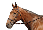 Stitched Bridle