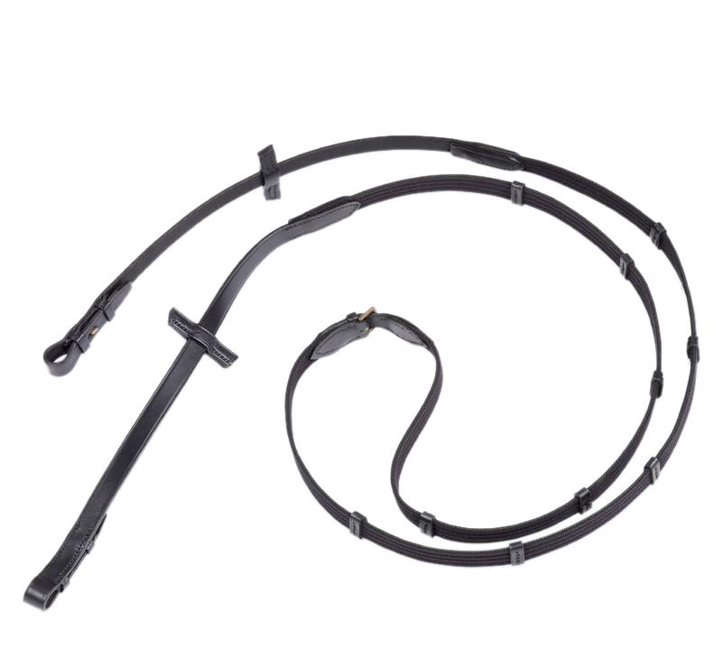 Web Reins