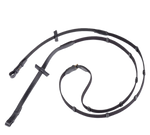 Web Reins