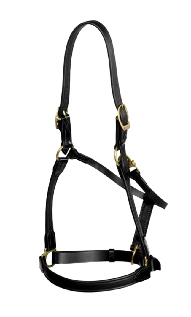 Wrapped Padded Halter
