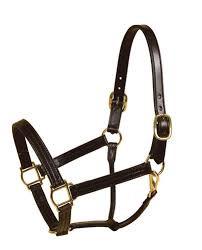 Triple Stitched Halter
