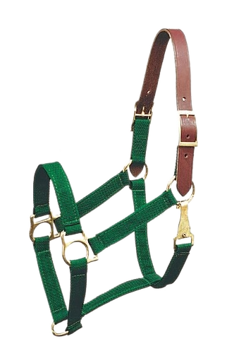 Breakaway Halter - Manhattan Saddlery