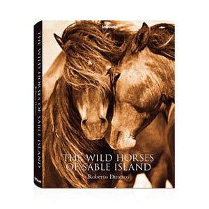 Wild Horses of Sable Island